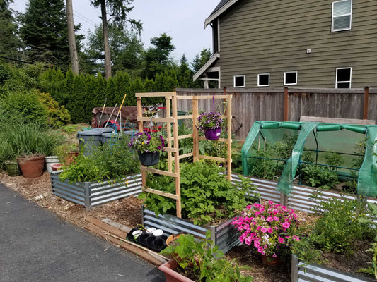backyard farming