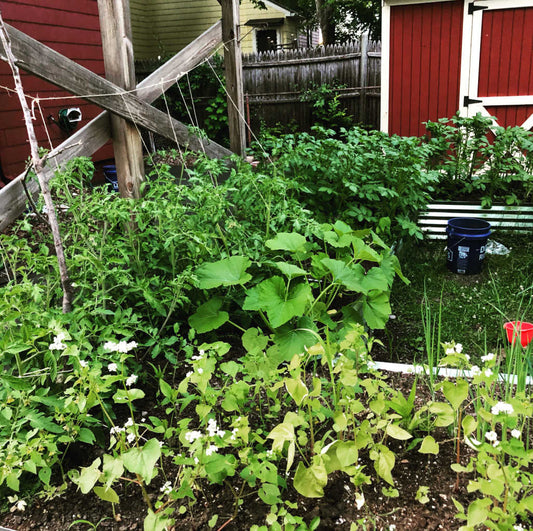 worms in the garden