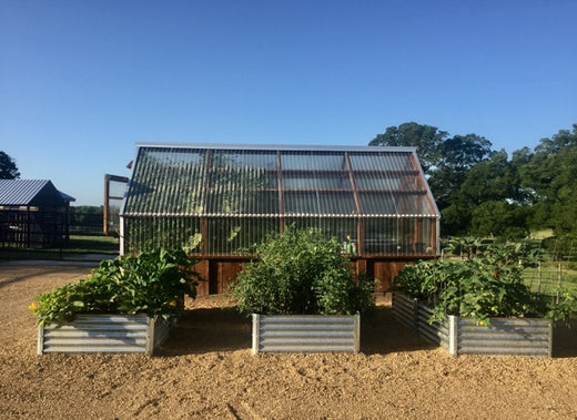 beyond the classroom