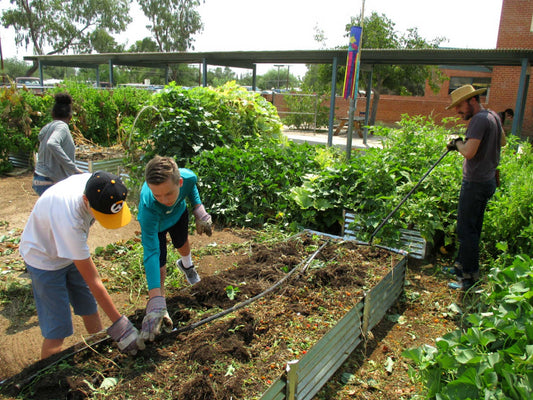 bottomless garden beds