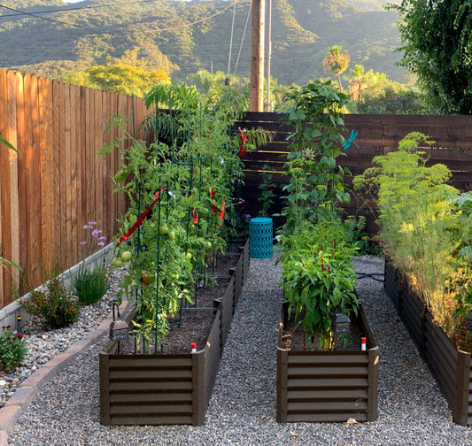 california garden beds