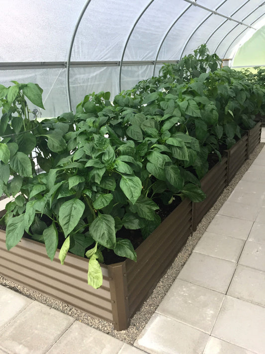climate proof gardens
