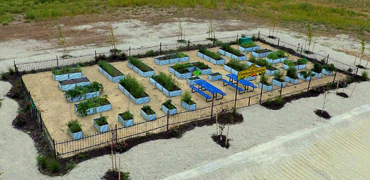 community spirit gardening