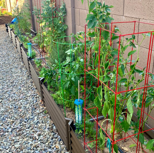 desert gardens