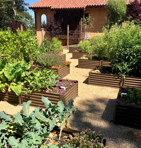 ditch the lawn