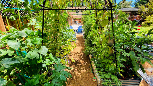 edible landscapes