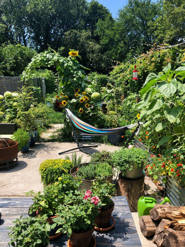 edible tropics