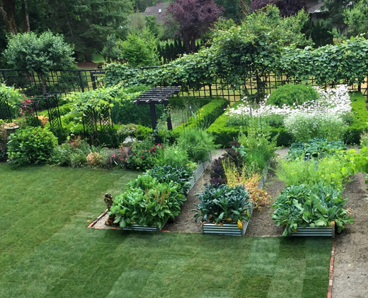 european garden