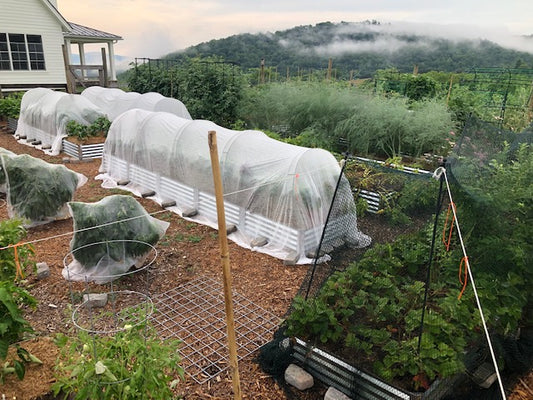 farm to table