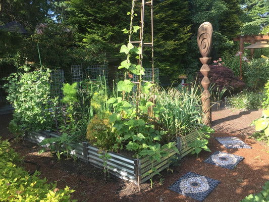 from lawncare to local harvest