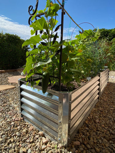 from sand to soil
