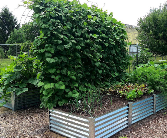gardener's edge