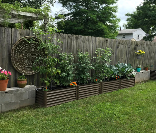 garden against the fence