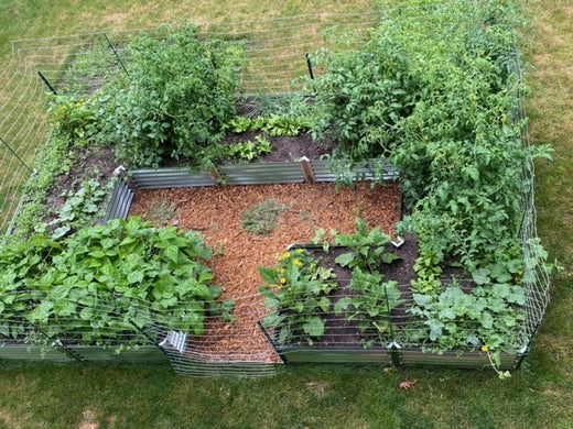gardening for grades