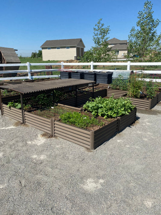 gardening outside the box