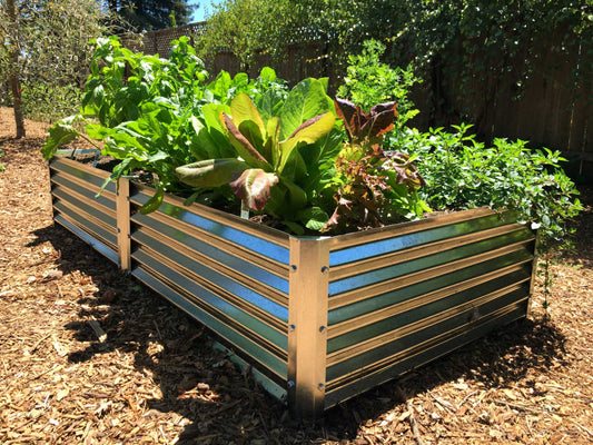 growing nutrition