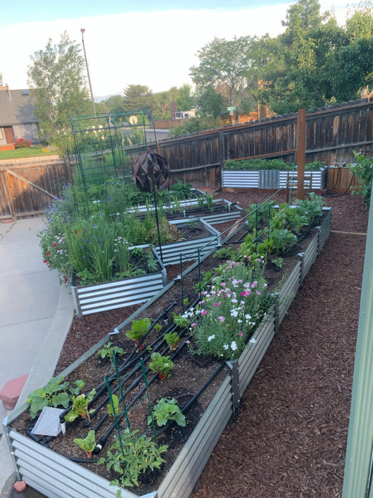 irrigation insights