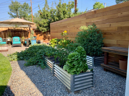 allergy smart gardens