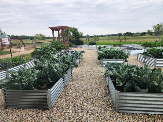 making a statement with raised beds
