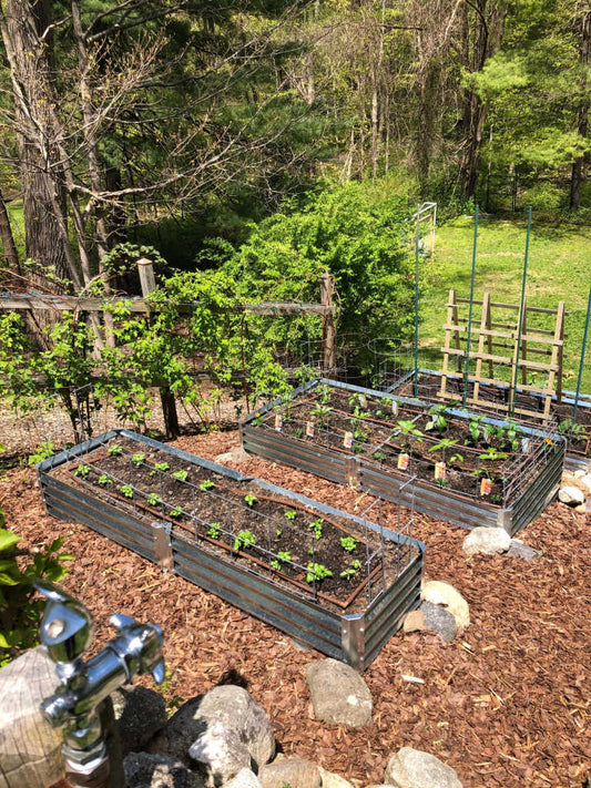 no dig garden beds