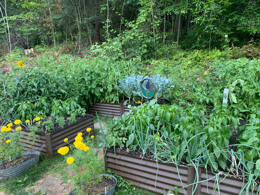 peppers