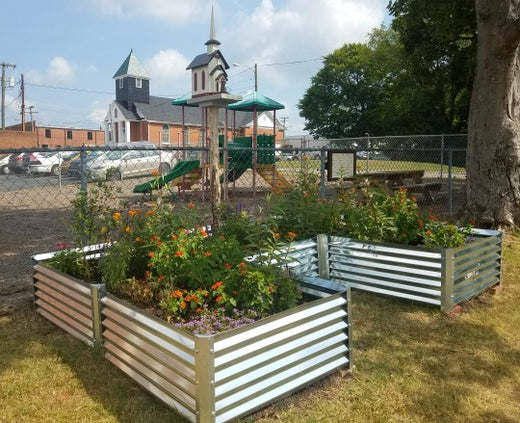 playground to plate