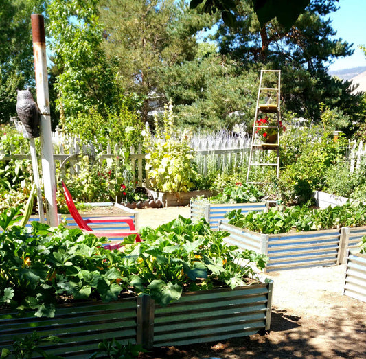 pollinator paradise