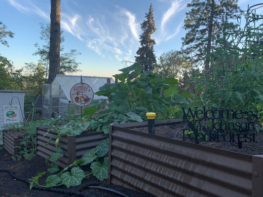 raised beds in poor soil