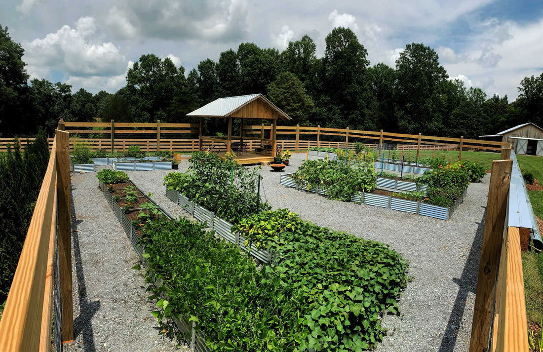 protect raised beds from animals