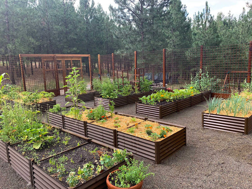 raised beds, raised awareness