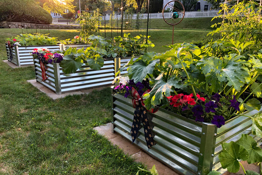 raising victory gardens