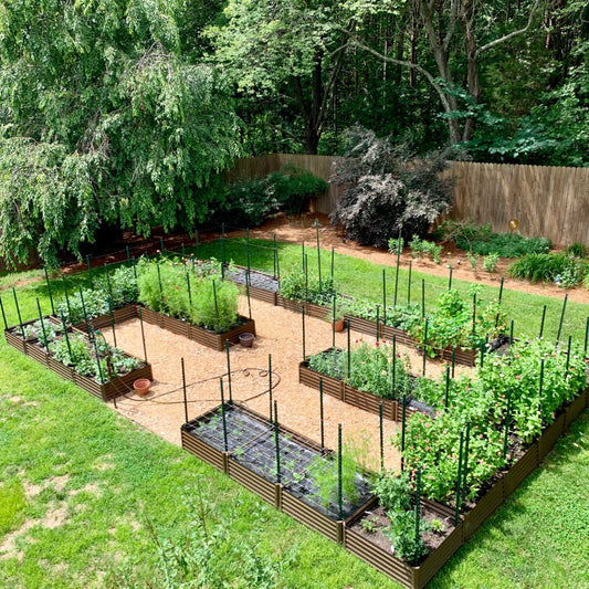 room to grow