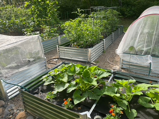 science and soil
