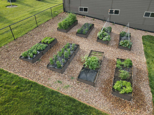 garden on a slope