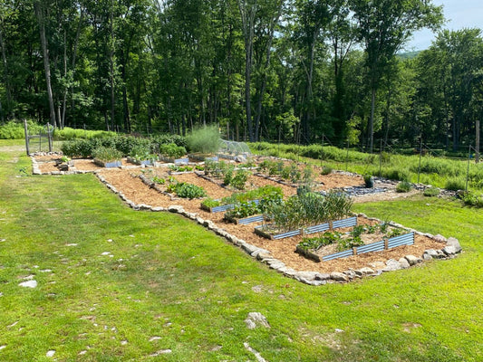 sustainability starts here