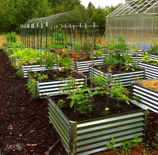 the height of gardening