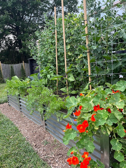 create a garden that thrives