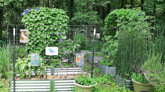trellis triumphs