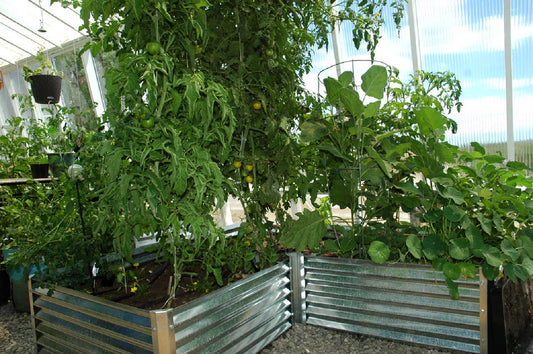 use ai to assist in your garden