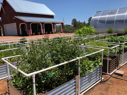 victory gardens 2.0