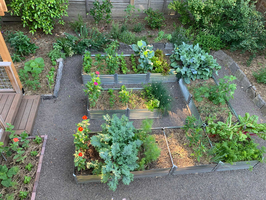 what to fill your raised beds with