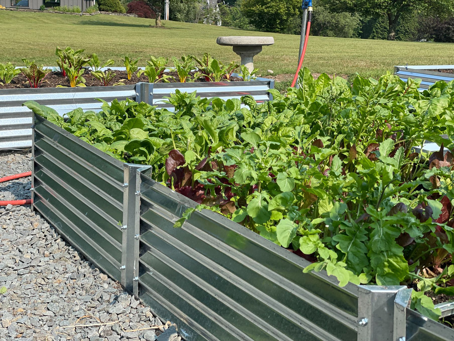 backside of entrada garden bed