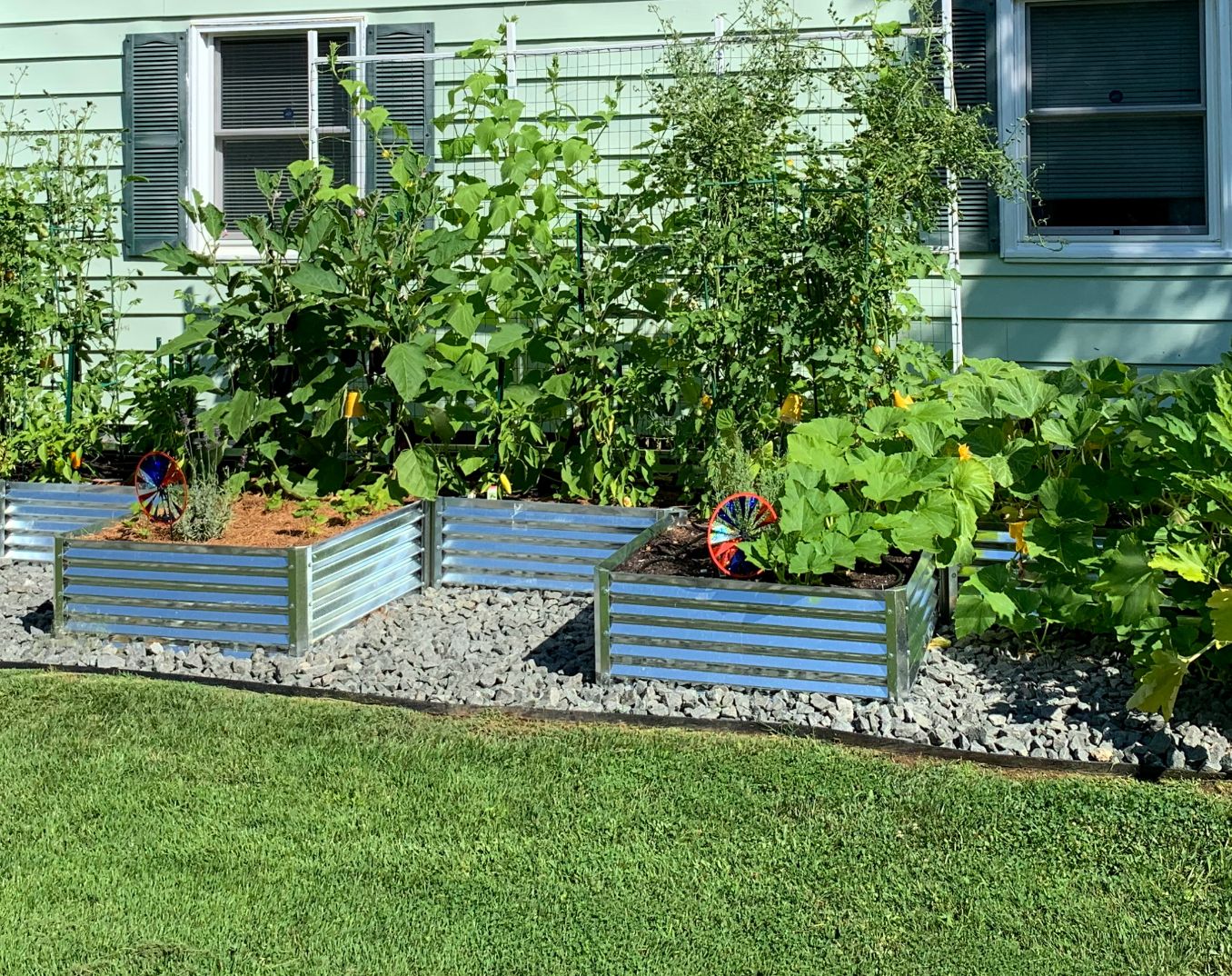 entrada garden bed with squash