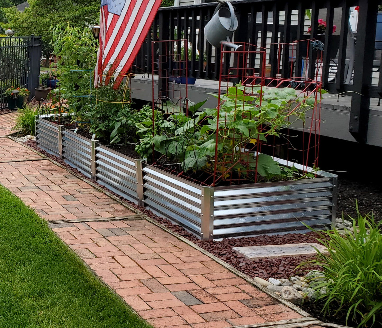 fresa garden bed below deck with cucumbers, grape vines