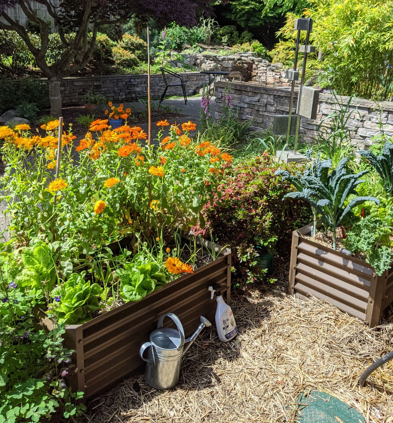 huerto garden bed