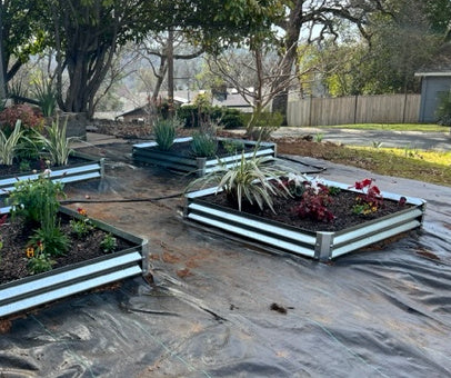 low cuadra garden beds before mulch