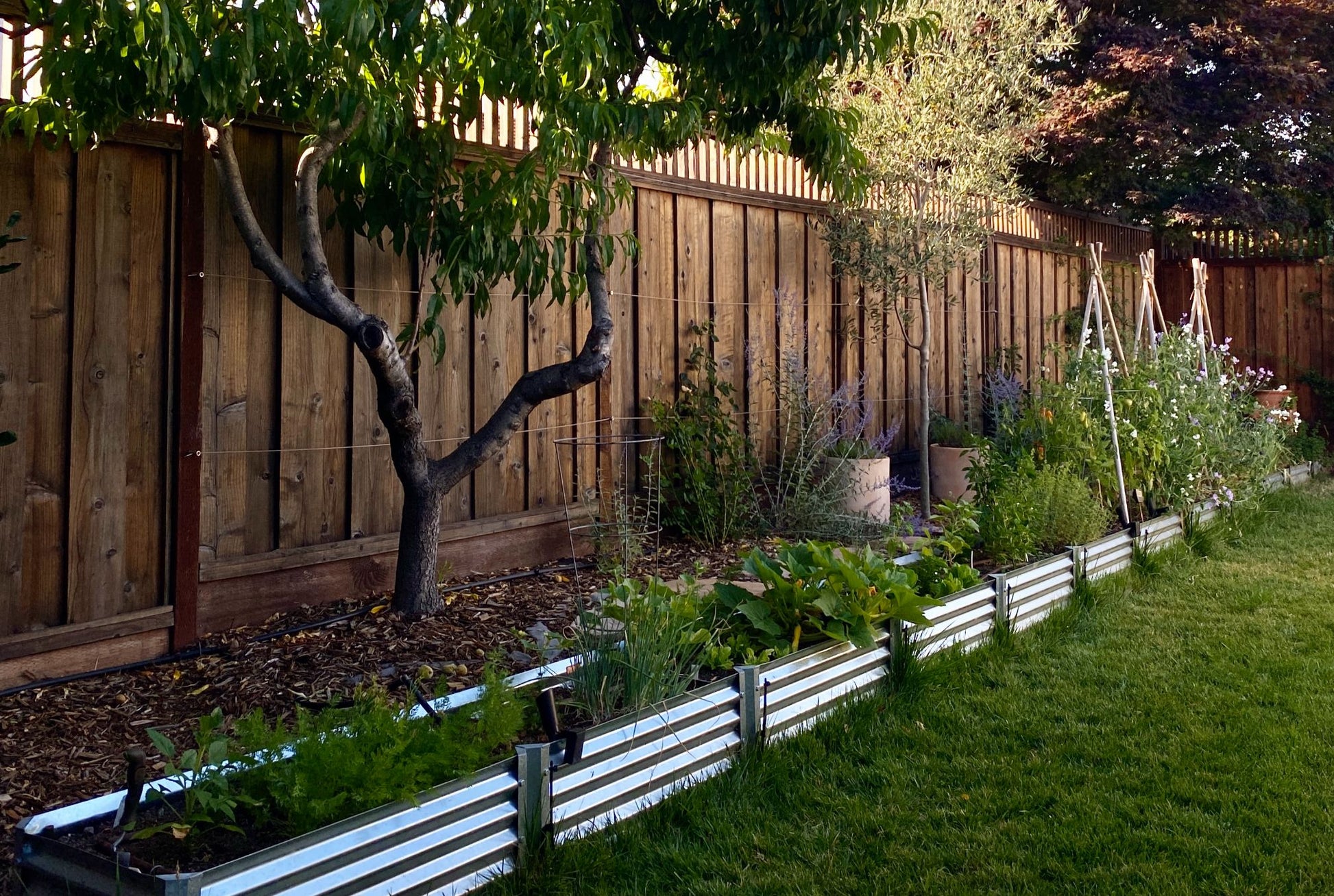 narrow extender alt view 1