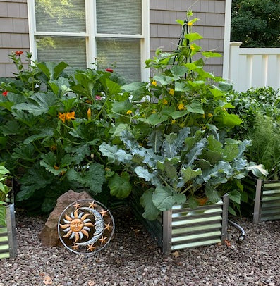 narrow medio in a garden setting