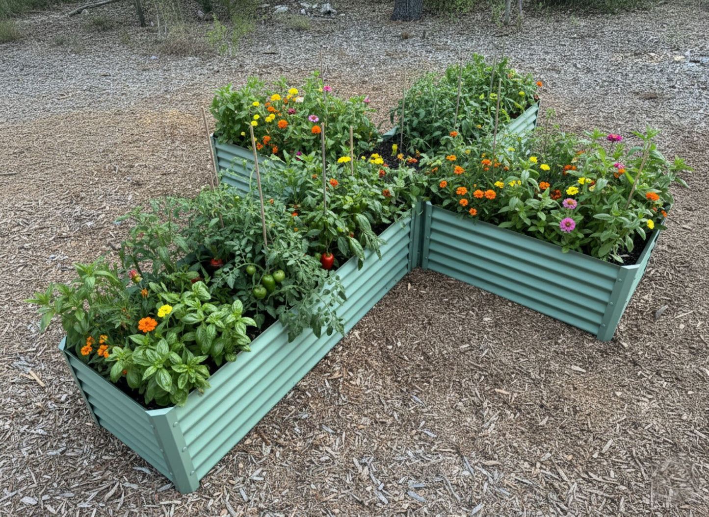 narrow sage cross enhanced view