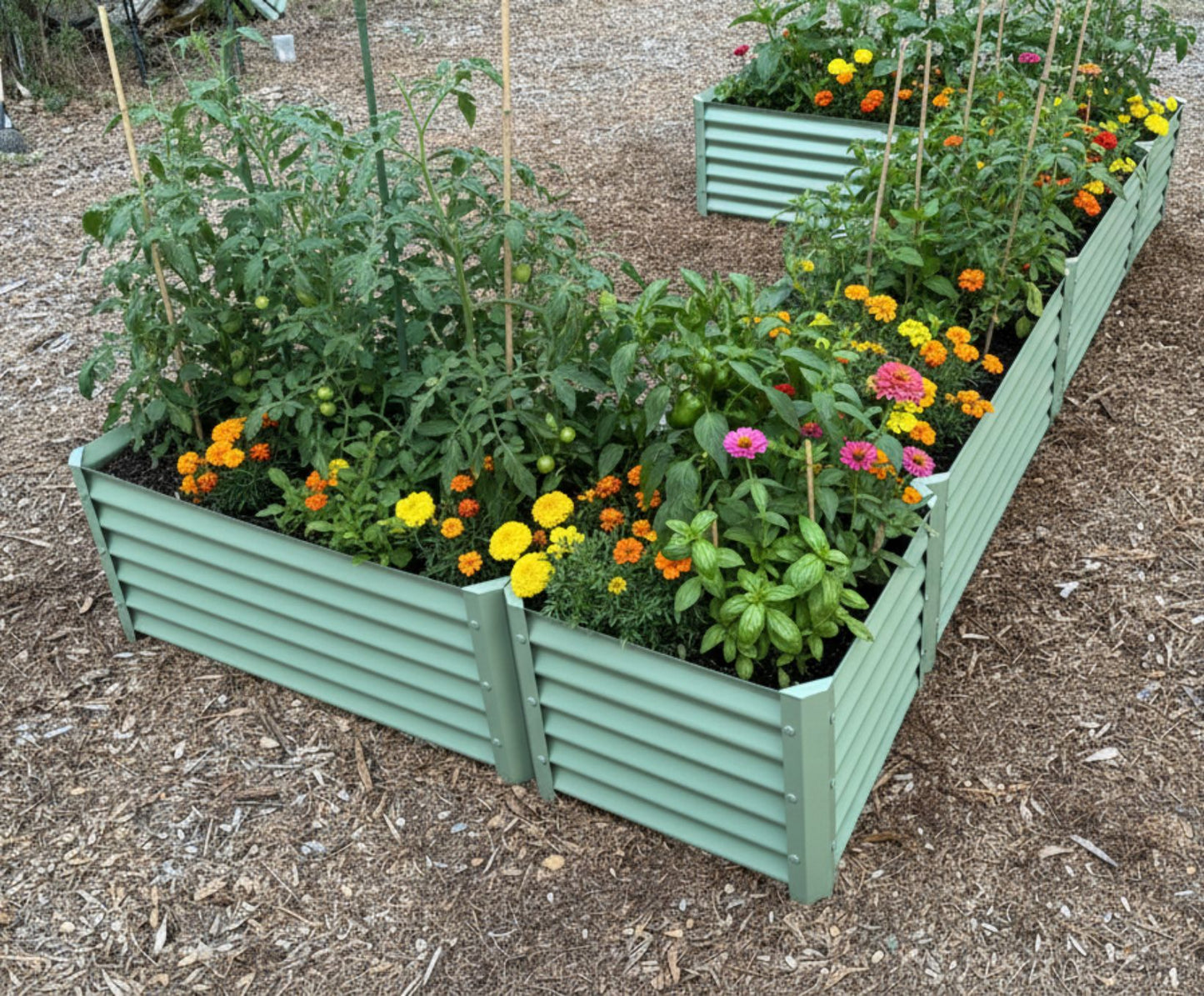 narrow sage wide u enhanced